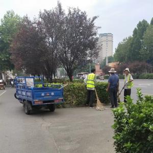 丰收载货电动三轮车实用场景集锦1